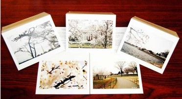 Set of 5 Cherry Blossom Note Cards and Envelope Se